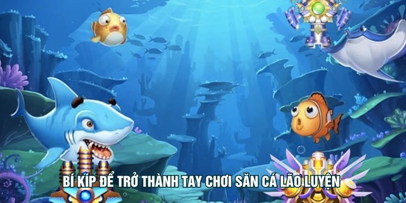 Bí kíp để trở thành tay chơi săn cá lão luyện 