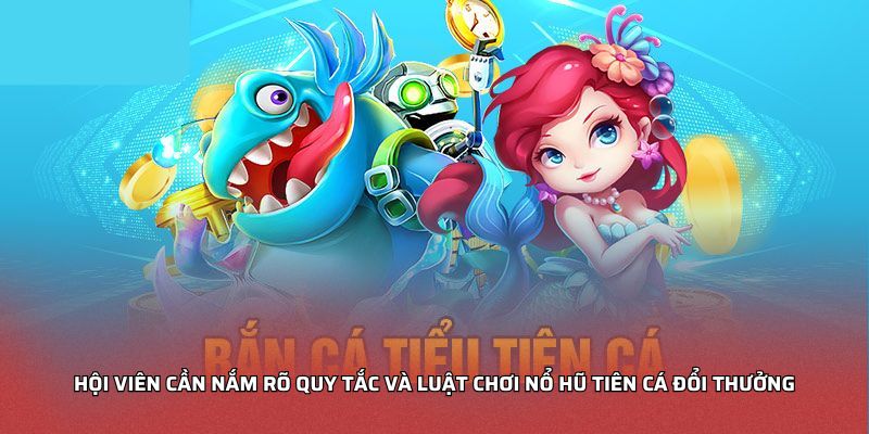 Hội viên cần nắm rõ quy tắc và luật chơi nổ hũ tiên cá đổi thưởng